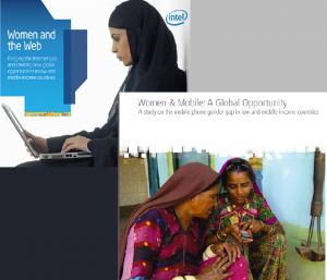 The covers of the two reports